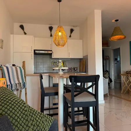 Large Luxury With Garden View Over The Ocean Apartment Antibes